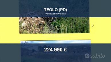 Immobile in asta di 18225 m² a Teolo