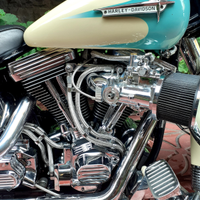 HARLEY Davidson Heritage