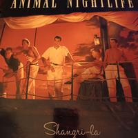 LP vinile ANIMAL NIGHTLIFE SHANGRI LA