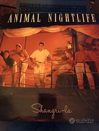 LP vinile ANIMAL NIGHTLIFE SHANGRI LA