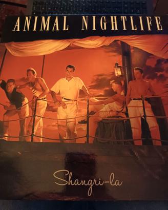 LP vinile ANIMAL NIGHTLIFE SHANGRI LA
