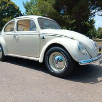 Volkswagen maggiolino 63