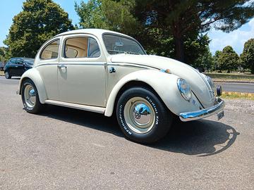 Volkswagen maggiolino 63