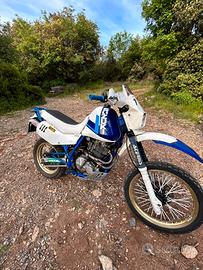 Suzuki DR 600 djebel