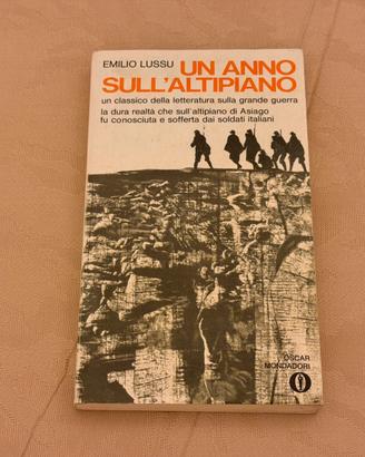 Un anno sull’altipiano