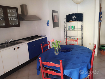 Ampio bilocale non distante dal mare