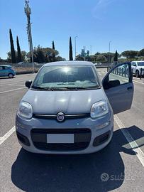 Fiat panda 2019