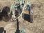 Immagine 3