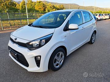 Kia Picanto 1.0 12V 5 porte Cool