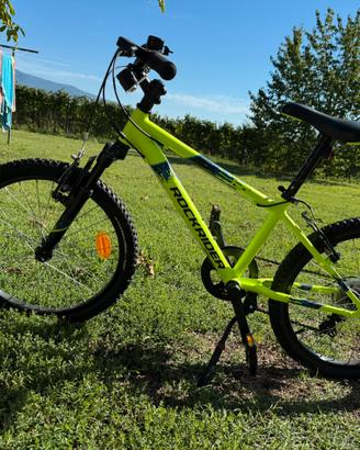 Rockrider ST 500 20” – MTB bambino Shimano 6 rapp