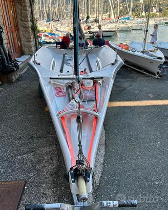Barca a vela 29er