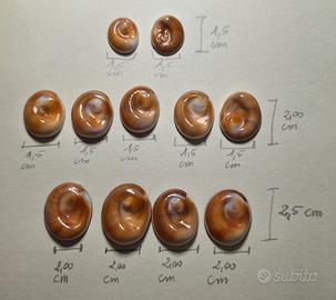 Occhi di Santa Lucia 