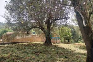 Terreno con piccolo rudere