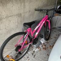 Bicicletta Mirage Ripper rosa in ottimi condizioni