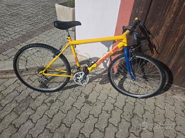 2 Mountbike trattabile