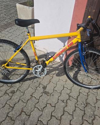 2 Mountbike trattabile