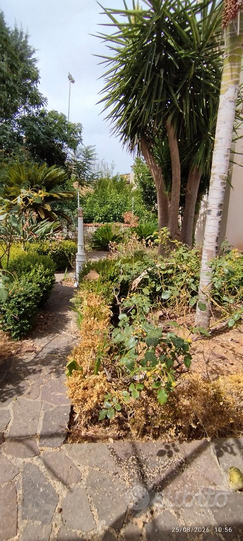 Appartamento – Altofonte, Blandino - Altro