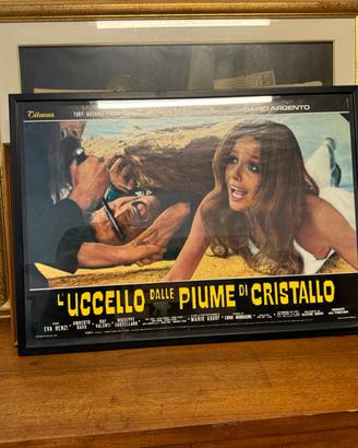 “L’UCCELLO DALLE PIUME DI CRISTALLO” CON CORNICE