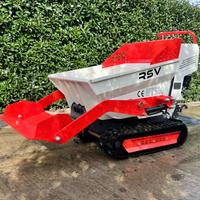 Motocarriola minidumper RSV IVA E SPEDIZIONE INCLU