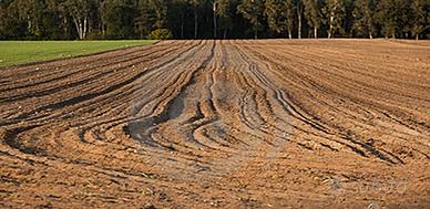 Terreni agricoli