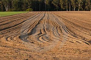 Terreni agricoli