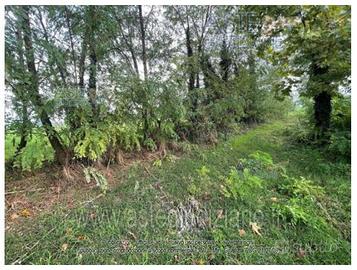 Appartamento Casalromano [A4336463]