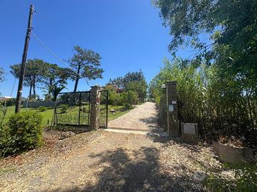 Villa o villino Iglesias [Cod. rif 3324704VRG]