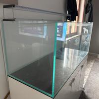 Aquario exstrachiaro