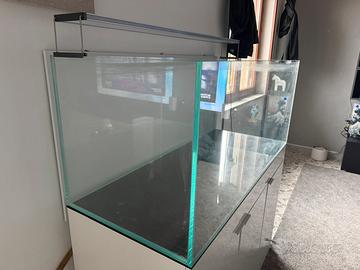 Aquario exstrachiaro