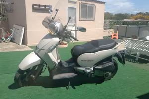 Scarabeo 300