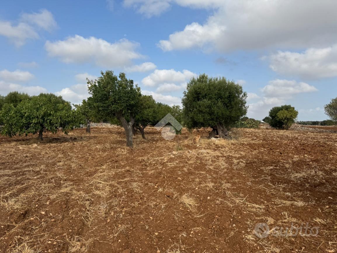 TER. AGRICOLO A POLIGNANO A MARE - Altro