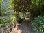 Immagine 26