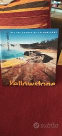 All the colors of Yellowstone di Mario Vidor