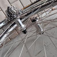 Ruote MTB vintage Cannondale Coda Maxxis 