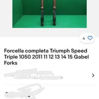 Forcella Triumph  Speed Triple 1050 2011/15