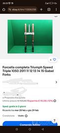 Forcella Triumph  Speed Triple 1050 2011/15