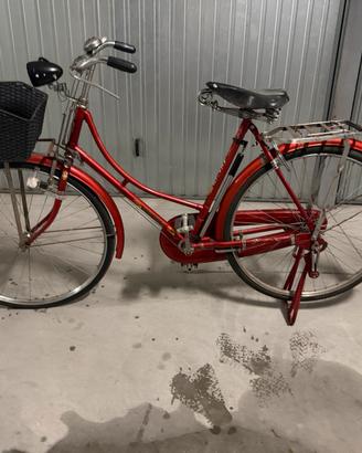 Bicicletta Arpan