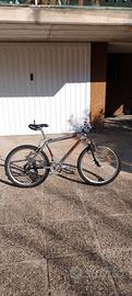 MTB Carisma alluminio 26