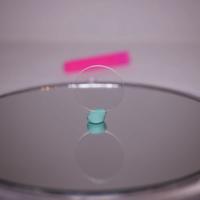 Vetro Zaffiro Ebel 1911