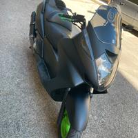 Silver wing 600