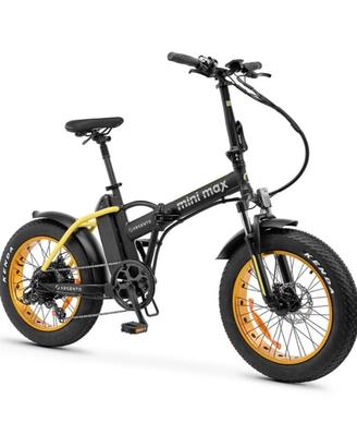 bicicletta elettrica 