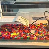 Acquario + filtro + sassolini decorativi