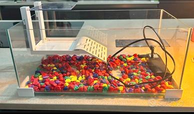 Acquario + filtro + sassolini decorativi