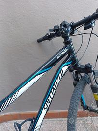 specialized hotrock