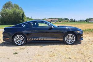 Mustang