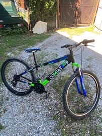 Bicicletta