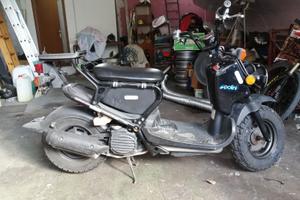 honda zoomer