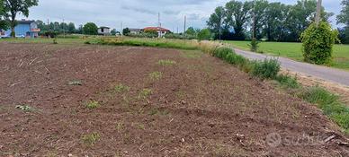 Terreno agricolo