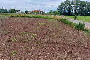 Terreno agricolo