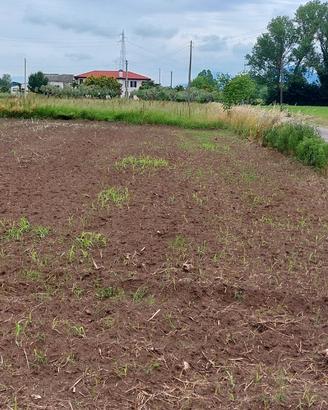 Terreno agricolo
